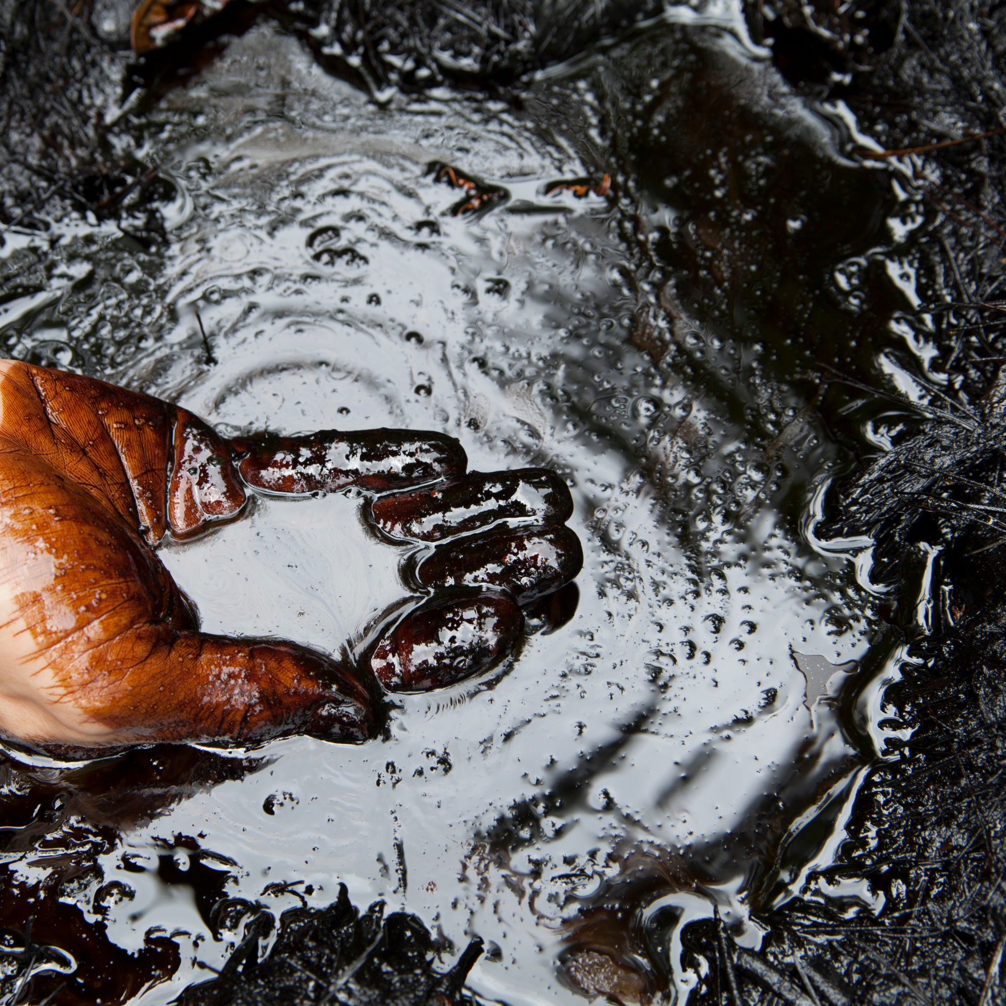 Pétrole brut et infrastructure pétrolière